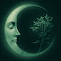 cQlVbibCZnE-channel-avatar-Sleepy Nature Channel