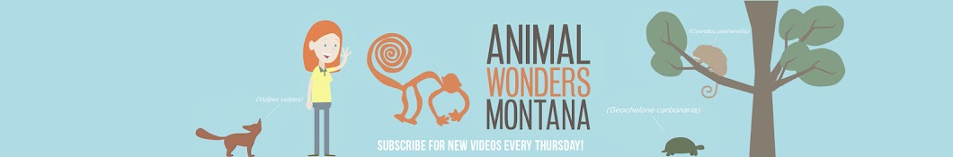 AnimalWonders Montana Avatar del canal de YouTube