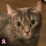 KGtnlGrC5GY-channel-avatar-jido77  (🚅鉄オタおっさん旅動画）