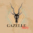 lu5oU7TVyZQ-channel-avatar-GAZELLE TALES