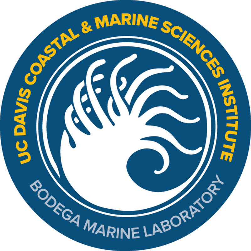 BodegaMarineLab logo