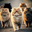 @noor-v9v9t