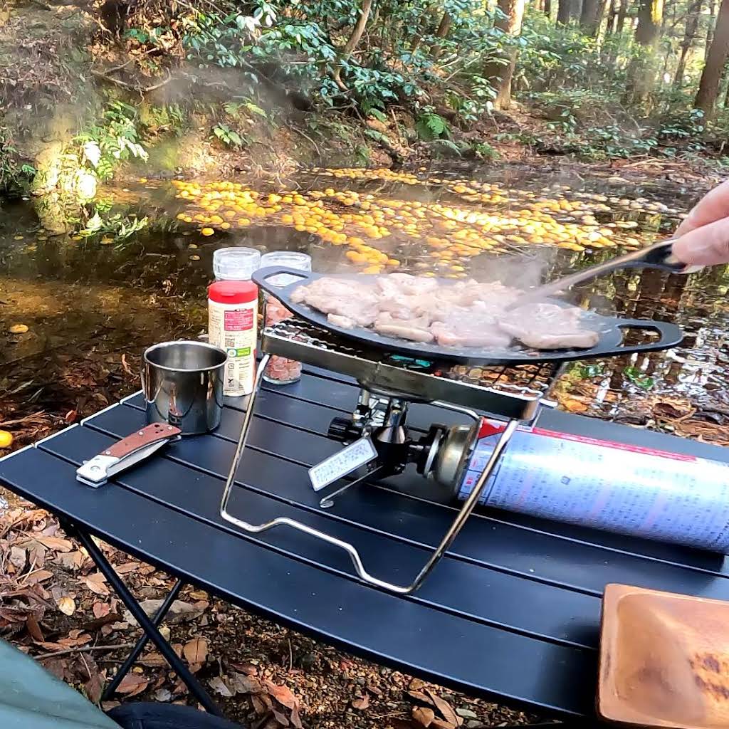 ベステルチョウザメ 約56㎝±直接引き取り限定埼玉県大里郡 YouTube
