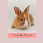 My Cute Rabbit logo