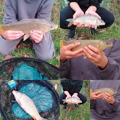 WildWagglers