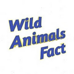 Wild Animals fact