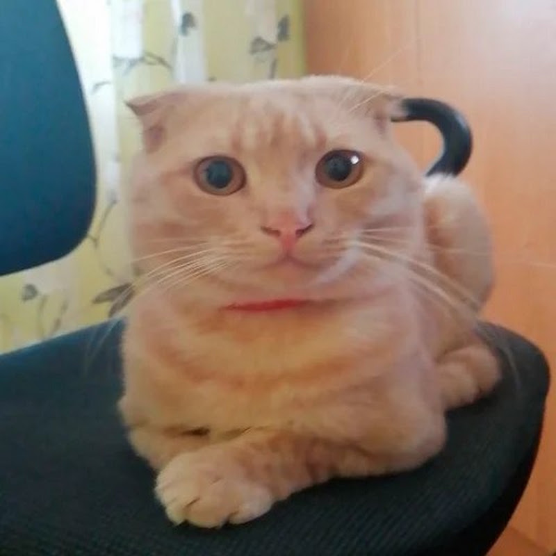 Фюзен