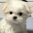 @민-z8z