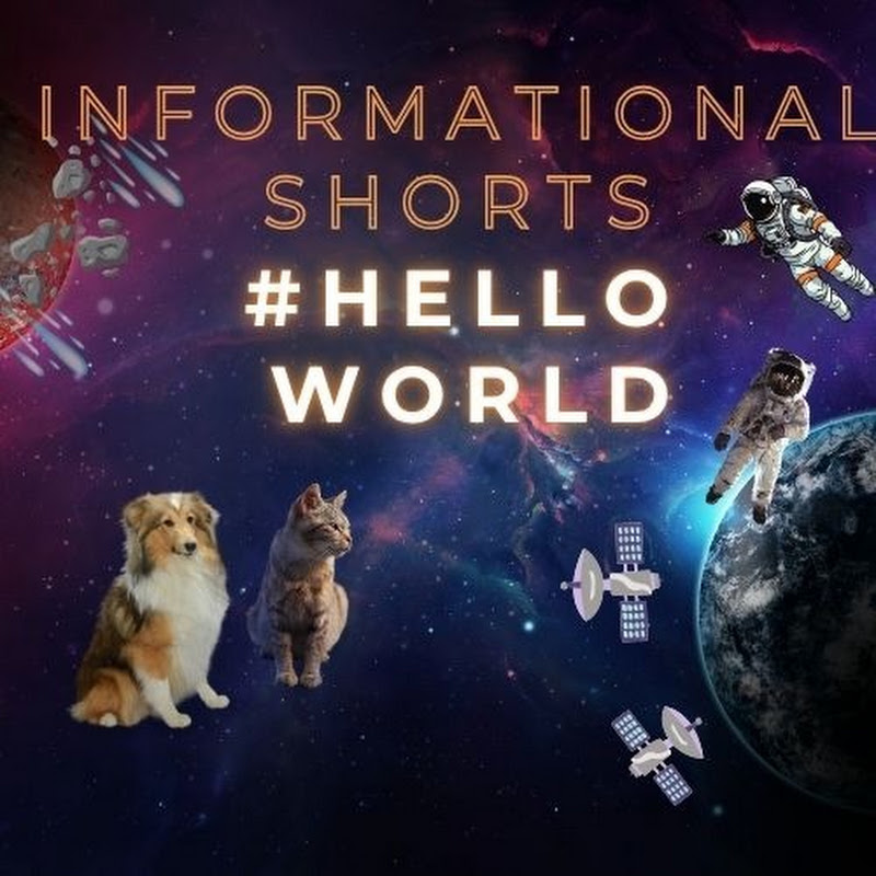 Informative Shorts Videos