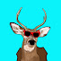 raM7bFccjTc-channel-avatar-The Bean Shed