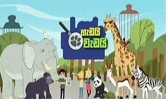 HADAI WADAI-01
