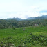 RmpOvvuz9HQ-channel-avatar-CIHERANG OFFICIAL 