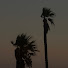 7tbeDB8u6tU-channel-avatar-Zhautx