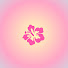 x9EY72aPZFY-channel-avatar-coral 🪸🐠
