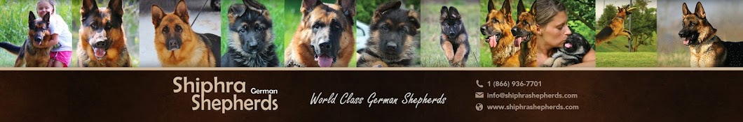 Shiphra German Shepherds Avatar del canal de YouTube