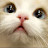 @jenny-bb1019