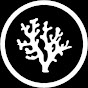 Coral Gardeners YouTube channel avatar