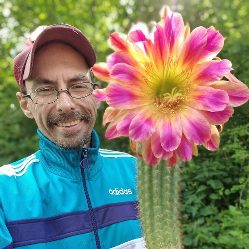 Cactus Jerk (Patrick Noll)