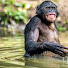 8Ym6cmNrqec-channel-avatar-The Monkey Kingdom