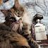 IdVKnaiI_es-channel-avatar-Frothy Milkshake