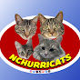 The NCHurricats 🐾 logo