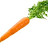 Carrot 🥕