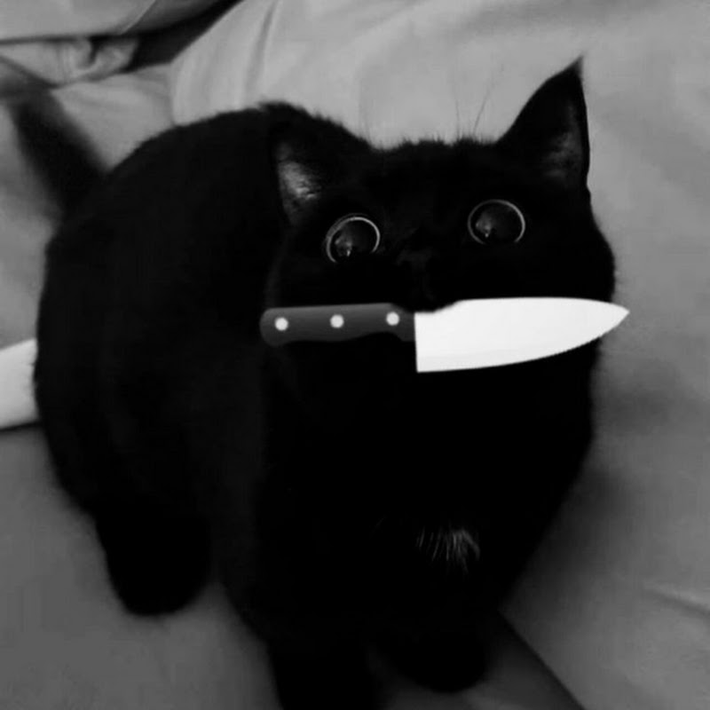 𝗕𝗔𝗦𝗠𝗔⁦⁦ メ