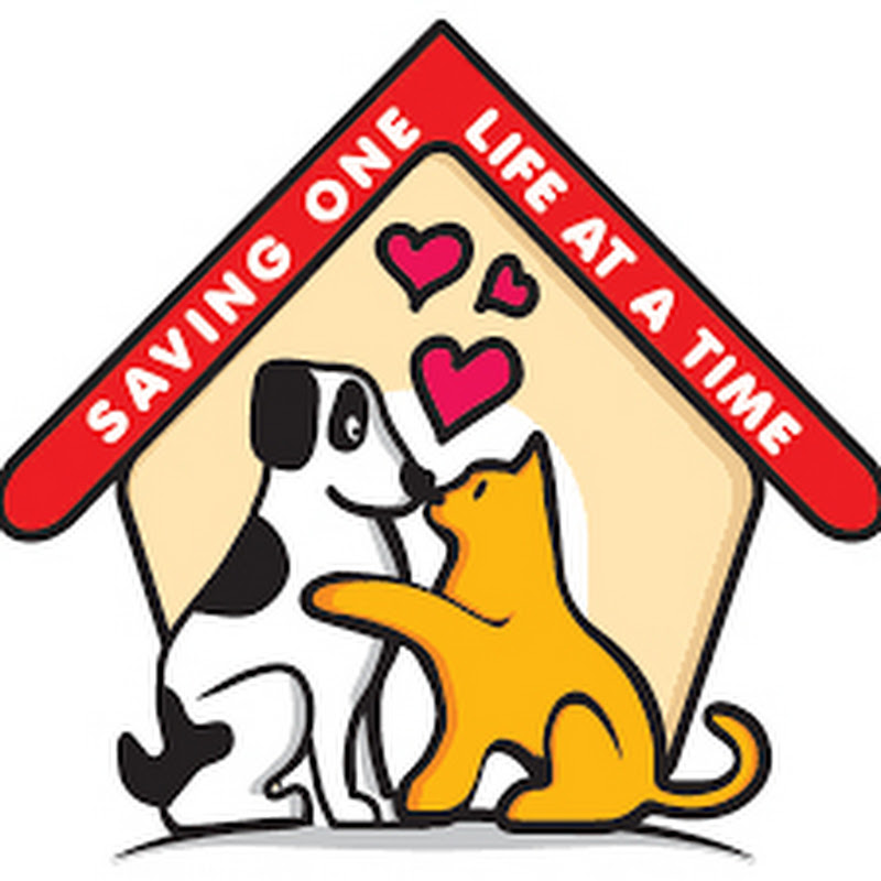 AnimalRescueUK YouTube Channel Avatar - Shorts Creator