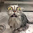 @LolCat04828 Avatar