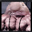 @WayneSmith-g8h
