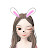 @채송화꽃