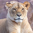BNRVPI1kl0E-channel-avatar-Animals Planet Space