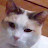 @PootyChristian Avatar