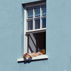 BNO coupleアイコン画像