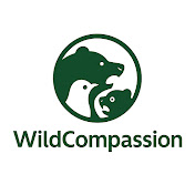 Wild Compassion