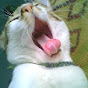 cakti pushkala Avatar