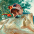 _eGaoTqXBHk-channel-avatar-ChasingWildWaters
