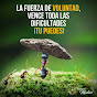 jorgealvarado4043