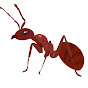 Red Ant YouTube Profile Photo
