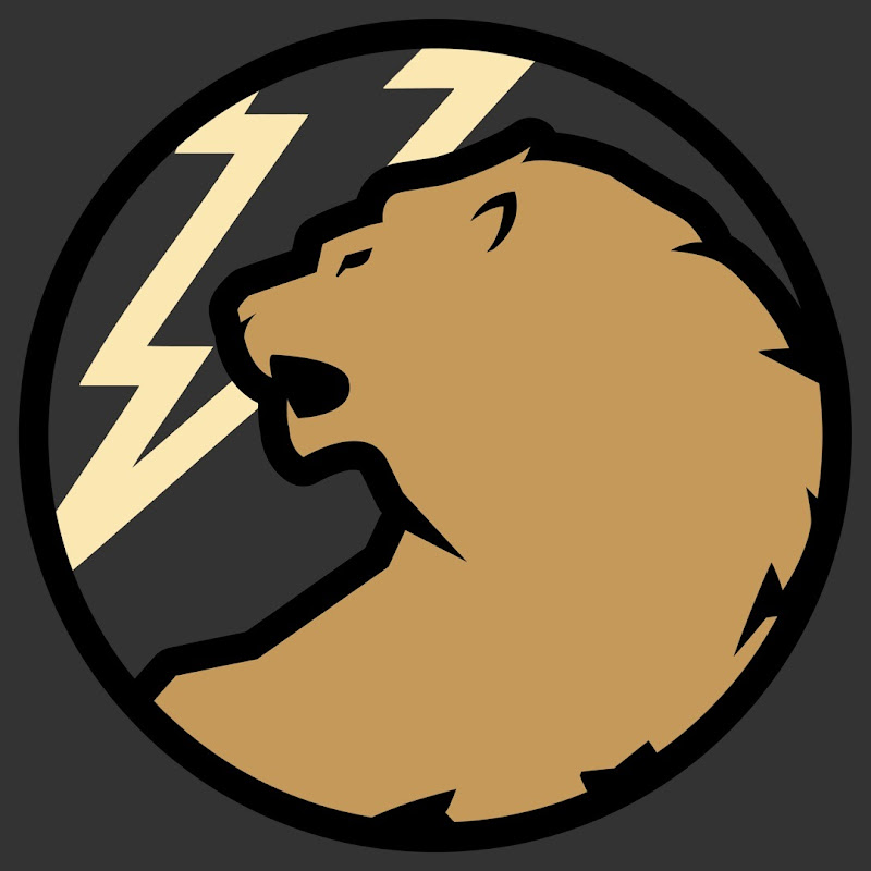 Lion Bolt Media