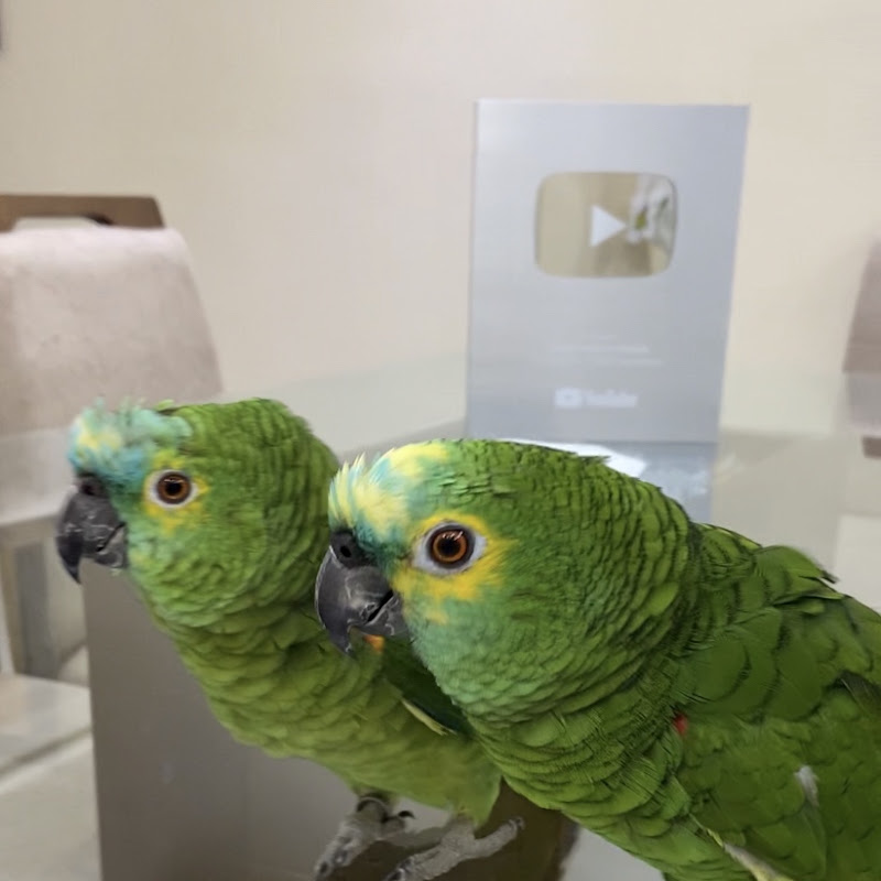 Pedro e Pedrita