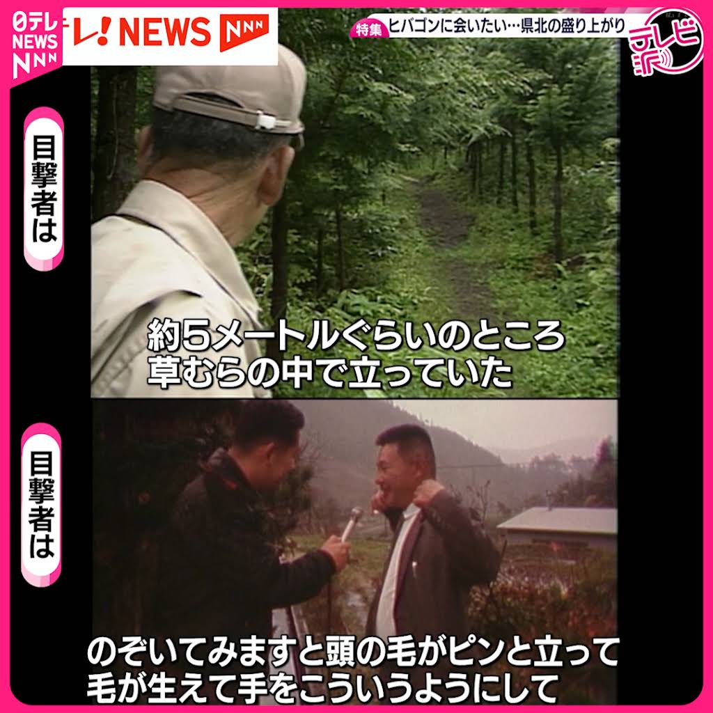 怪物ヒバゴン【希少】 妖怪202・ヒバゴン(広島) | 大蛇堂-おろちどう-