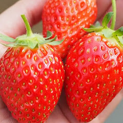 ちぃVlog【Chee】