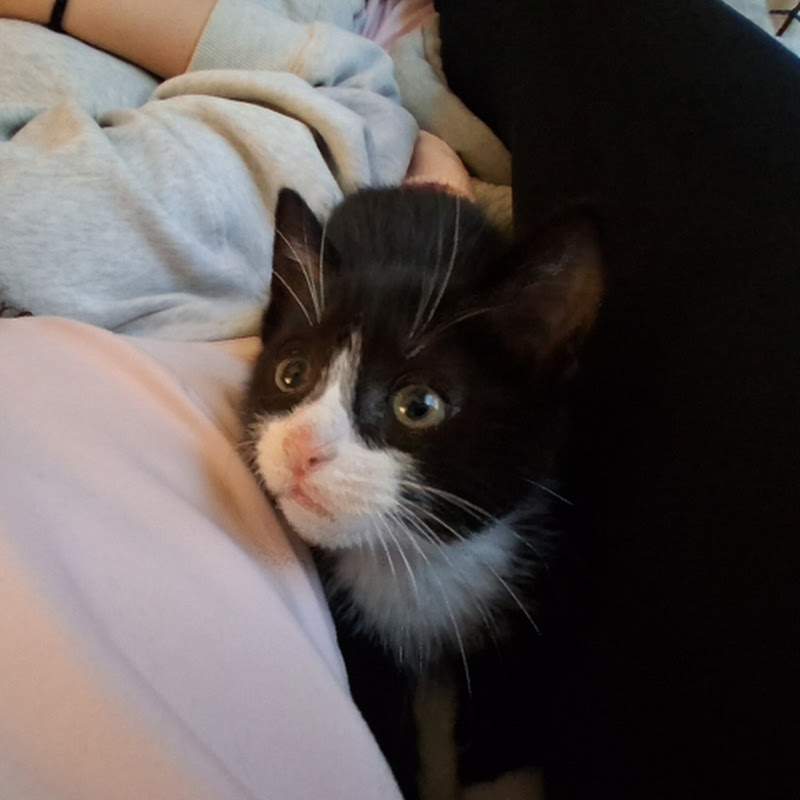 #tiktokfyp #tiktok ##tiktokvideo #tiktokviral #foryouシ