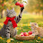 Tiny Paws Diary