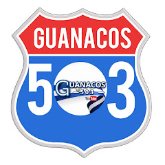 Guanacos 503 Avatar