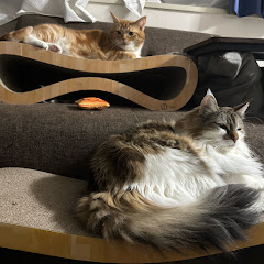 切り抜き用ぐった