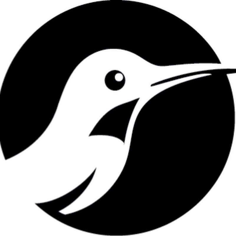 Explore Hummingbird & Bird Migration Cams logo
