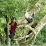 Bzwf52RhtwA-channel-avatar-Hina Life Harvest