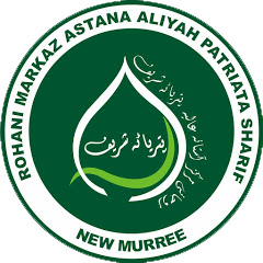 Pir Azmat Nawaz patriata shareef net worth